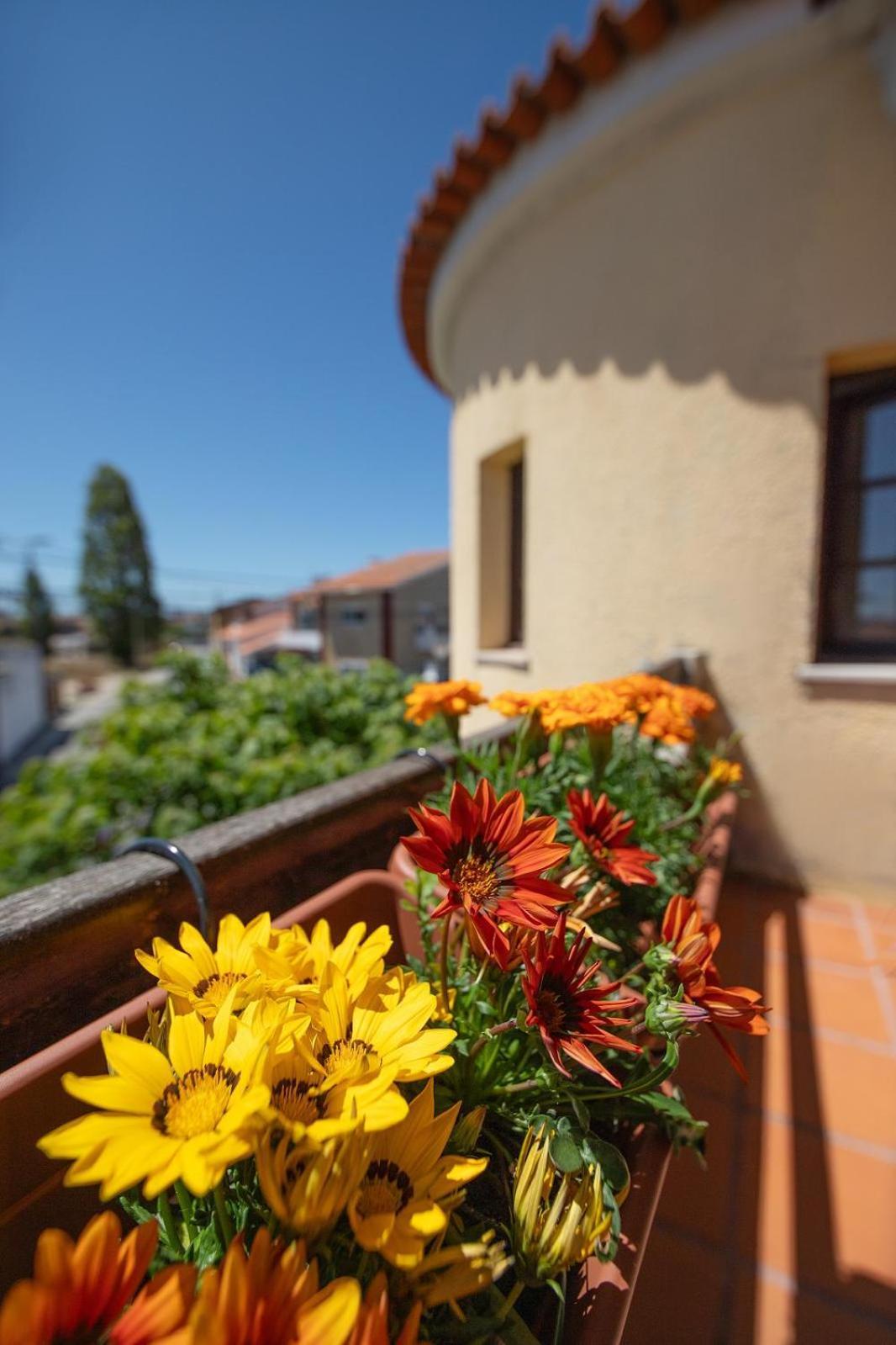 Villa Salgado Gafanha da Nazaré エクステリア 写真